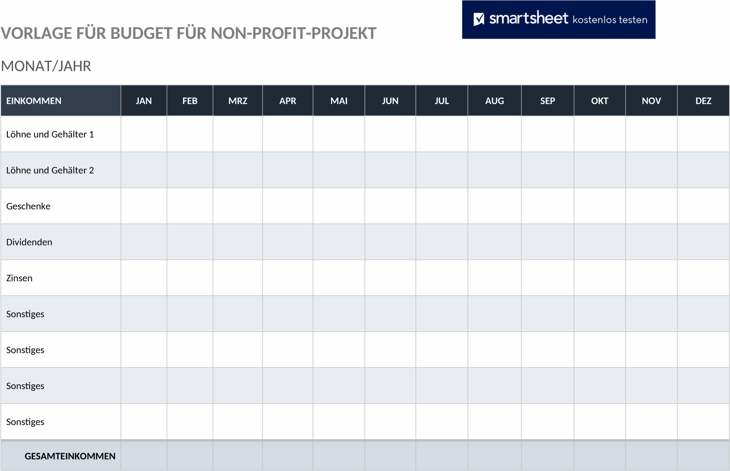 budget-fuer-nonprofit-projekt-word.png