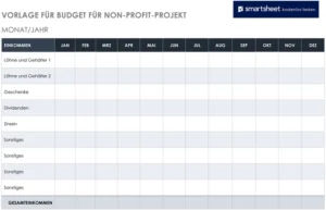 budget-vorlage-fuer-non-profit-projekt