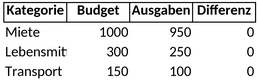 budgetierung-vorlage.png