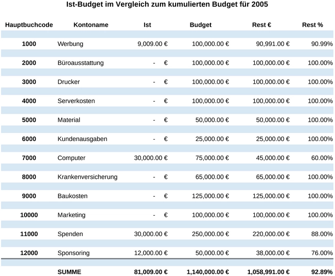 budgetplanung-und-ausgabenanalyse-fuer-2005