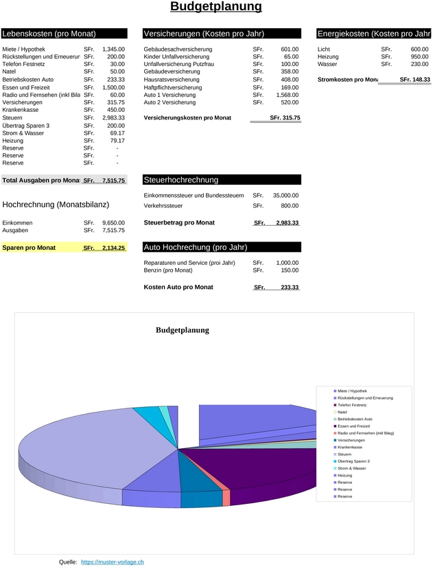 budgetplanung-vorlage-umgang-mit-einnahmen-ausgaben