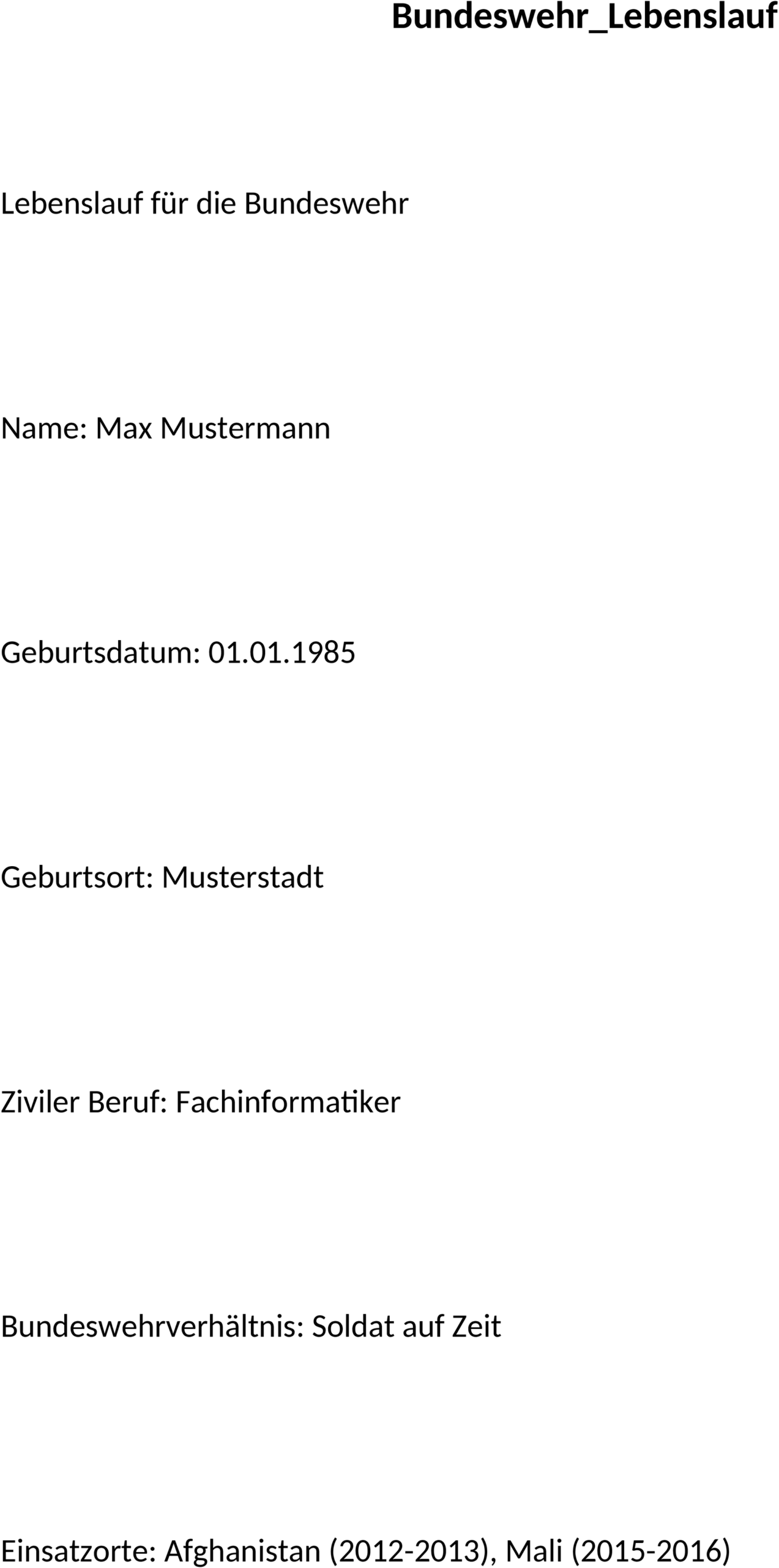 Bundeswehr Lebenslauf Vorlage