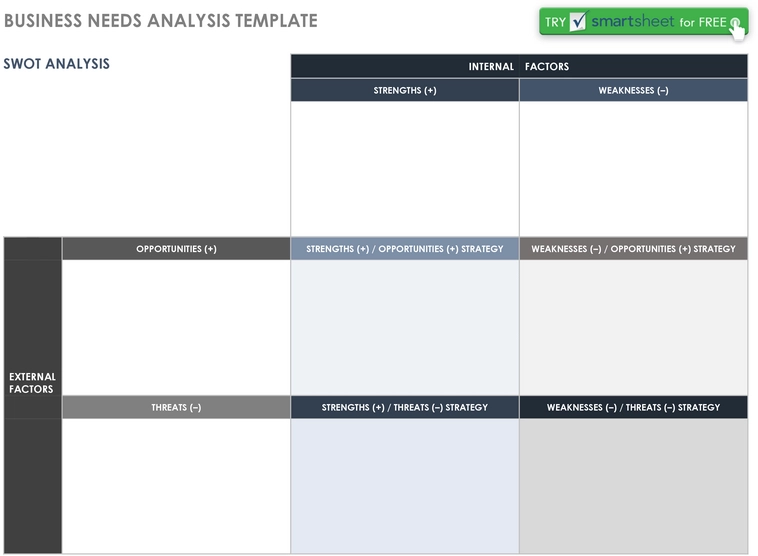 business-needs-analysis-vorlage