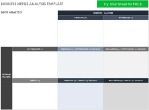 business-needs-analysis-vorlage