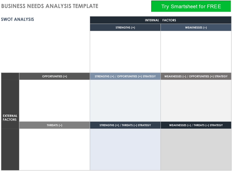 business-needs-analysis-vorlage