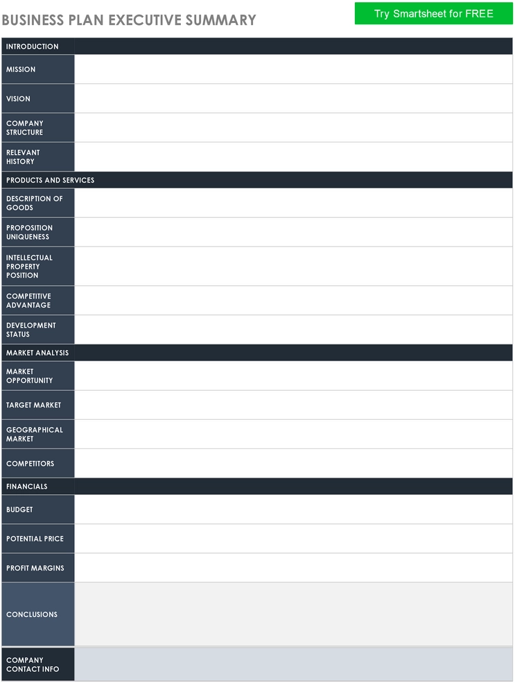 business-plan-executive-summary-vorlage