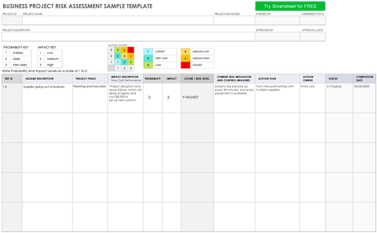 business-project-risk-assessment-vorlage
