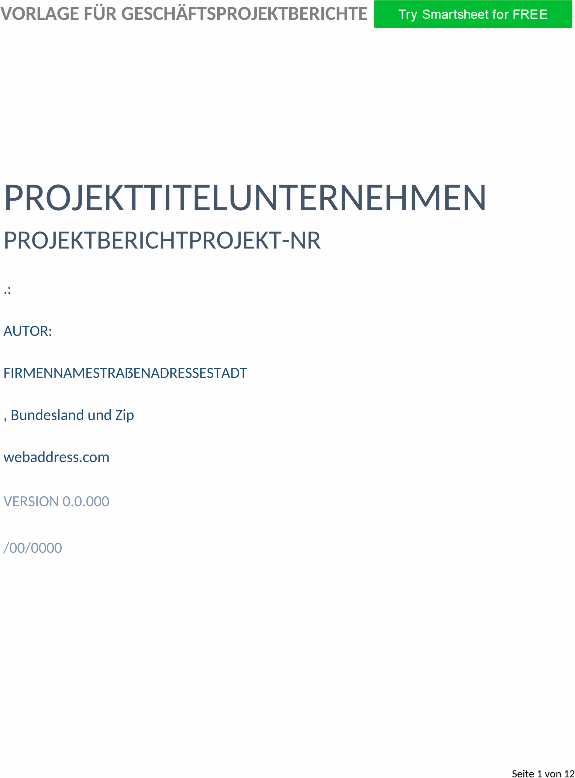 business-projekt-bericht-word-vorlage.png