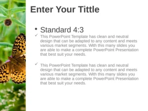 butterfly-on-flower-nature-powerpoint-vorlage