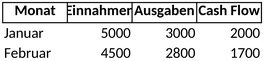 cash-flow-vorlage-fuer-einnahmen-ausgaben-und-finanzplanung