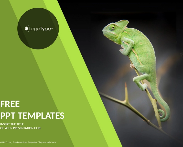 chamaeleon-auf-gruener-pflanze-natur-ppt-vorlagen-standard.png