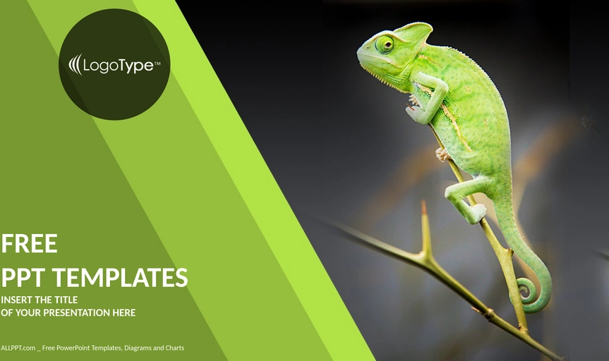 chamaeleon-auf-gruener-pflanze-natur-ppt-vorlagen-widescreen.png