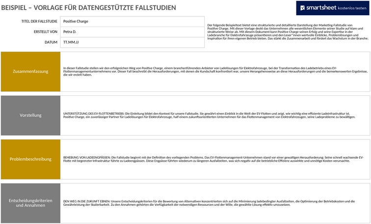 datengetriebene-fallstudienvorlage-beispiel-50102.png