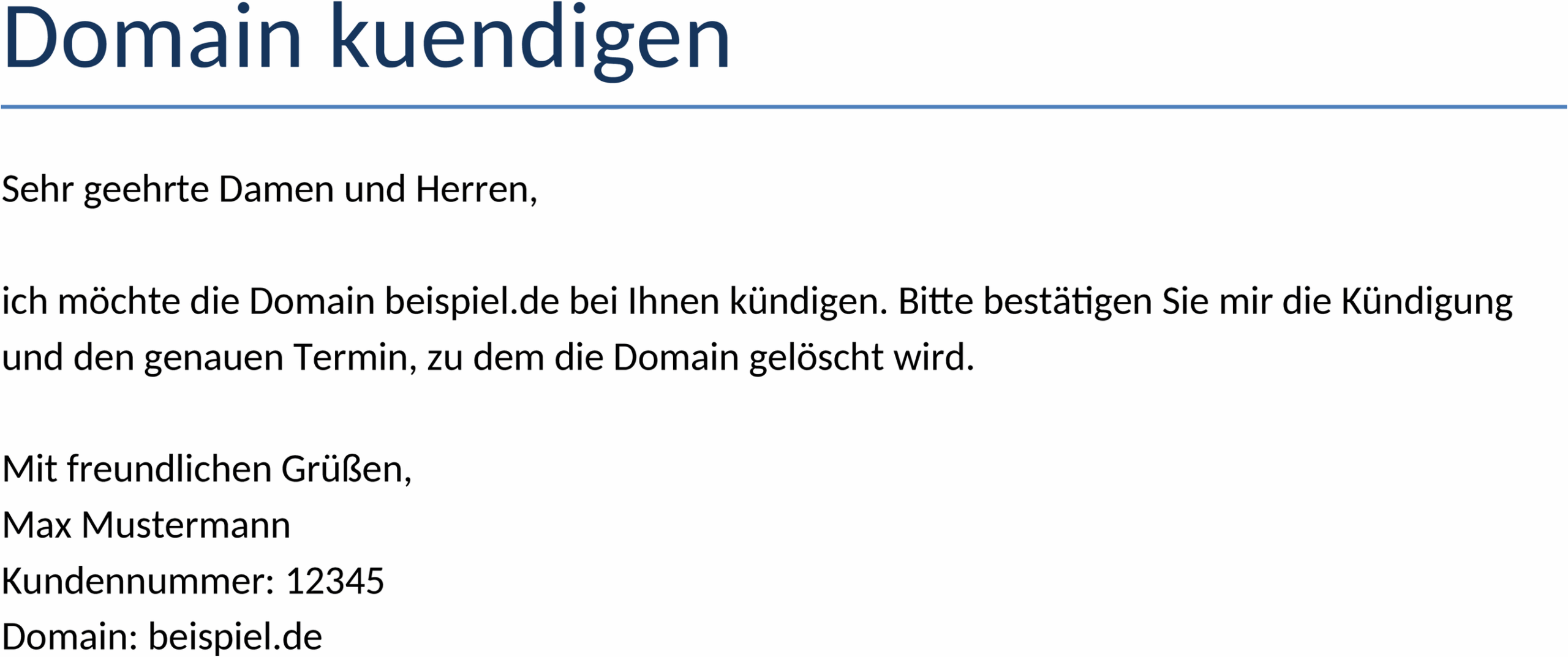 Domain Kündigung Word-Dokument