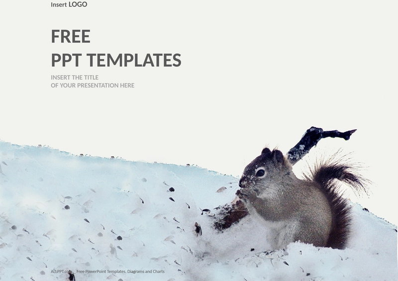eichhoernchen-im-schnee-natur-ppt-vorlagen-standard.png