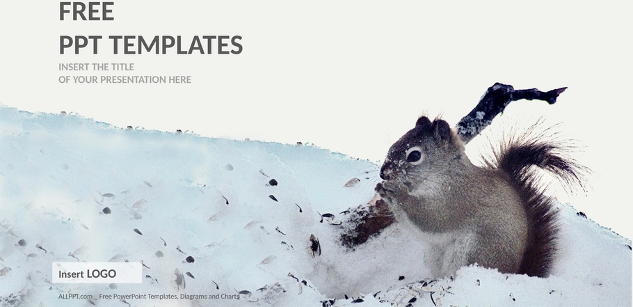 eichhoernchen-im-schnee-natur-ppt-vorlagen-widescreen.png