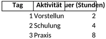 einarbeitungsplan-2.png