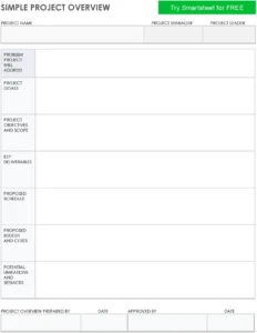einfache-projektuebersicht-pdf-vorlage-fuer-effektives-projektmanagement