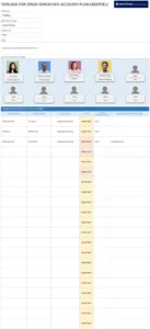 einfacher-account-plan-vorlage-excel