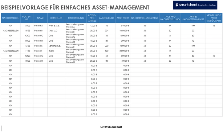 einfaches-asset-management-vorlage-mit-struktur