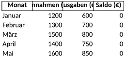 einnahmen-ausgaben-privat.png