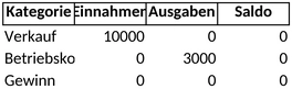 einnahmenueberschussrechnung-vorlage-fuer-finanzplanung