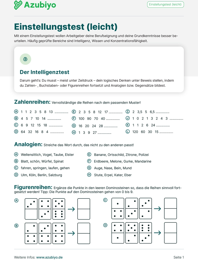 einstellungstest-leicht-vorbereitung-vorlage