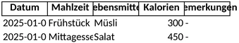 ernaehrungsprotokoll-vorlage-fuer-gesunde-ernaehrung