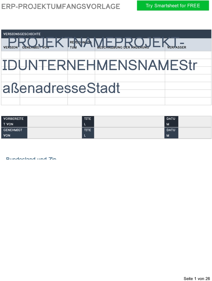 erp-projekttumfangsvorlage-fuer-effektive-projektplanung