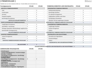 excel-bilanzvorlage-fuer-die-finanzorganisation