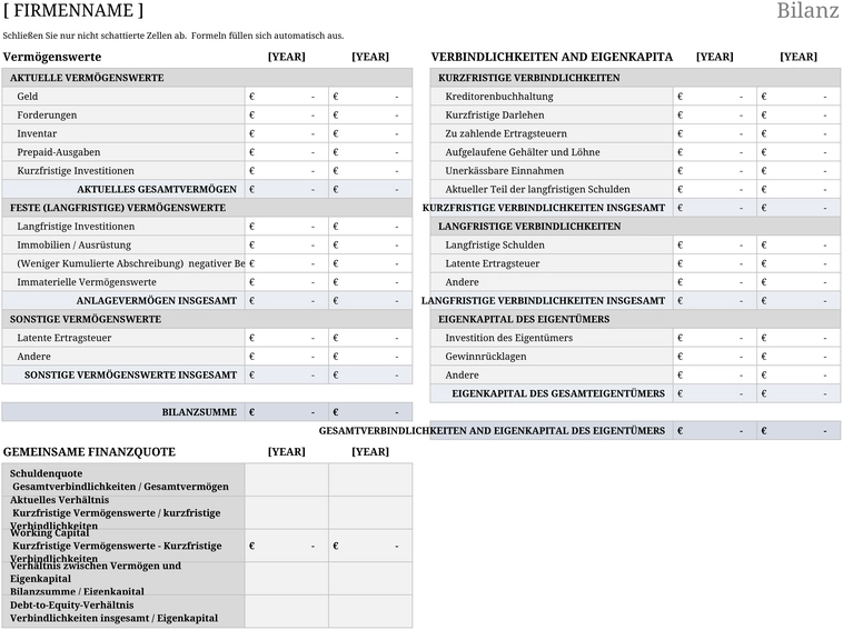 excel-bilanzvorlage-fuer-die-finanzorganisation