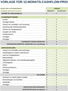 excel-vorlage-fuer-12-monats-cashflow-prognose