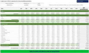 excel-vorlage-fuer-12-monats-finanzprognosen