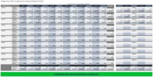 excel-vorlage-fuer-12-monats-umsatzprognosen
