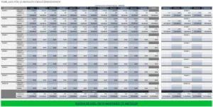 excel-vorlage-fuer-12-monats-umsatzprognosen