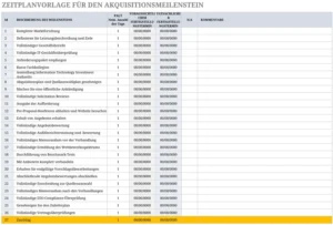 excel-vorlage-fuer-akquisitionsmeilensteine