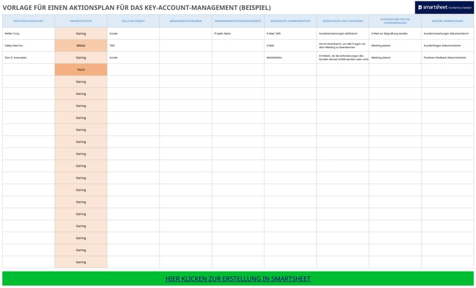 excel-vorlage-fuer-aktionsplan-key-account-management