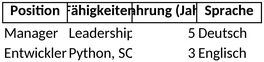 excel-vorlage-fuer-anforderungsprofile-zur-personalplanung