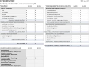 excel-vorlage-fuer-das-bilanzblatt-organisation