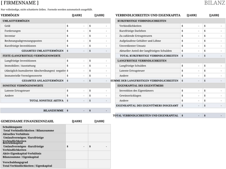 excel-vorlage-fuer-das-bilanzblatt-organisation
