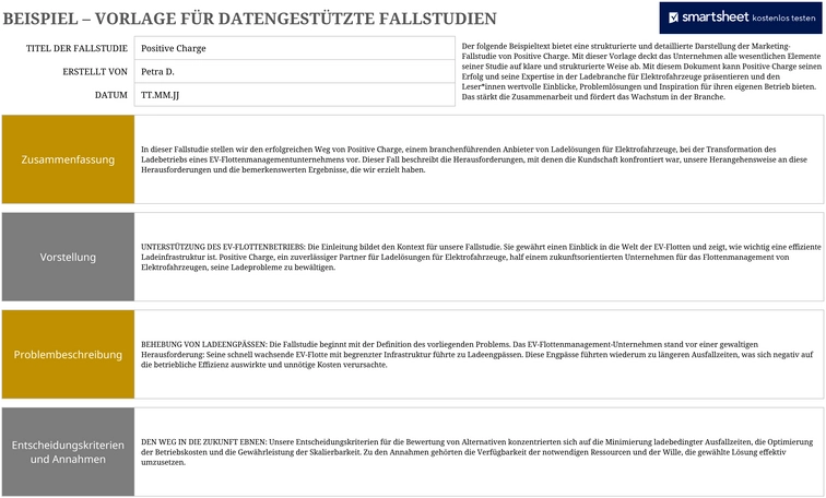 excel-vorlage-fuer-datengestuetzte-fallstudien