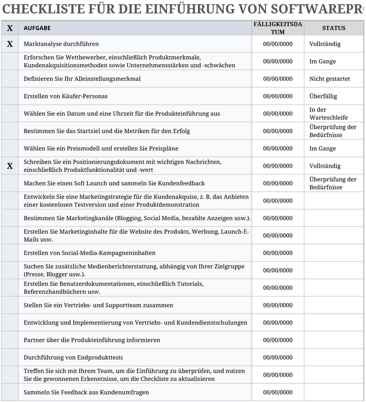 excel-vorlage-fuer-die-einfuehrung-von-softwareprodukten