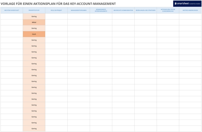 excel-vorlage-fuer-einen-aktionsplan-im-key-account-management