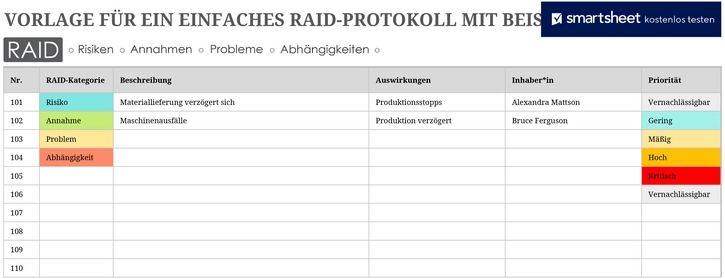 excel-vorlage-fuer-einfaches-raid-protokoll
