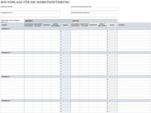 excel-vorlage-fuer-markteinfuhrung-und-roi-analyse