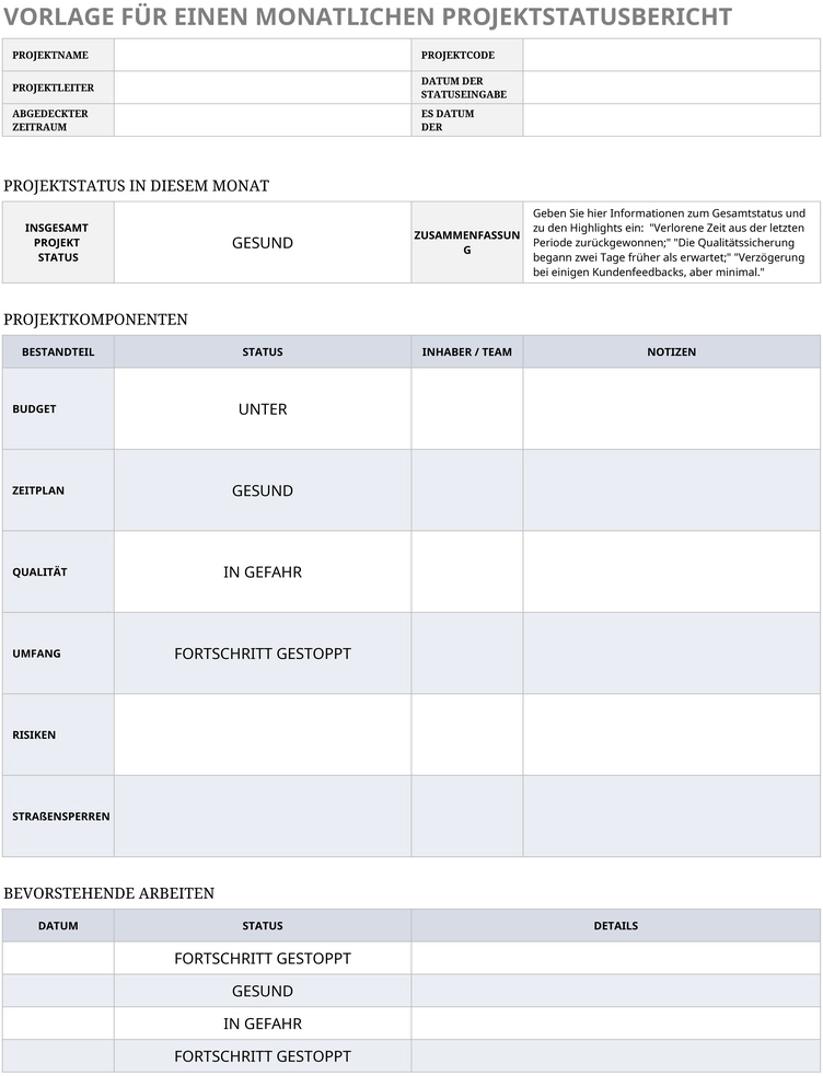excel-vorlage-fuer-monatliche-projektstatusberichte