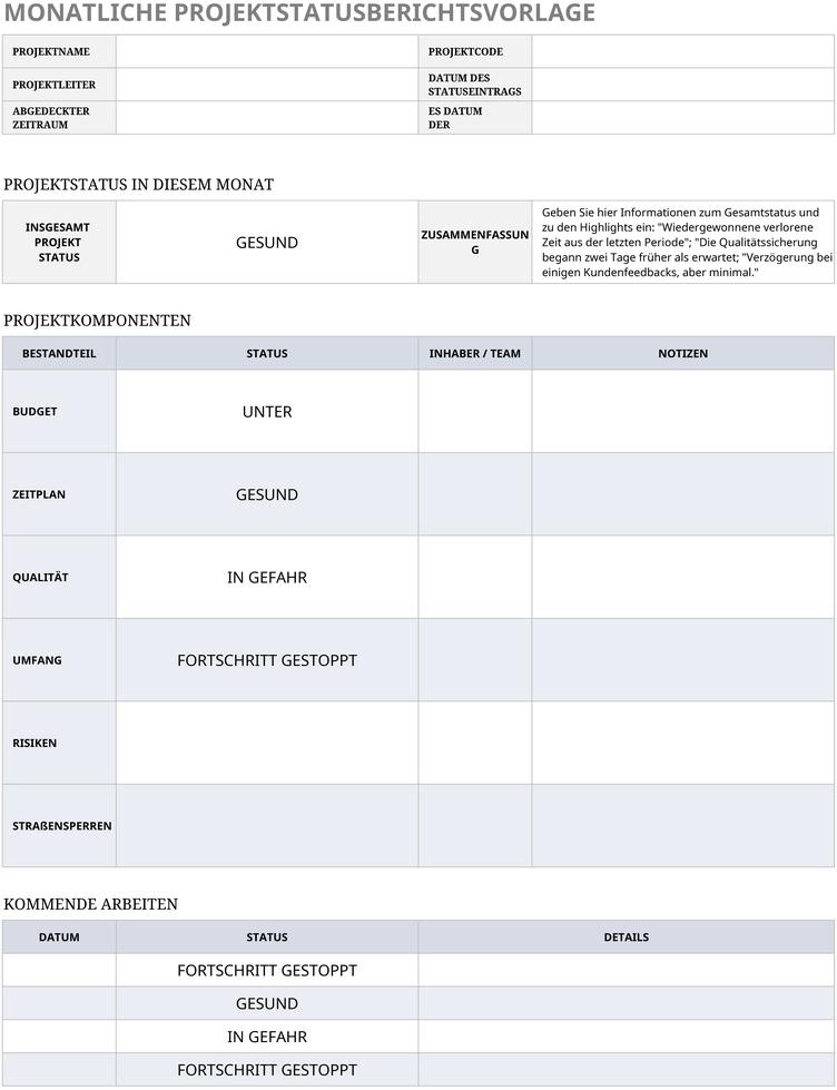 excel-vorlage-fuer-monatlichen-projektstatusbericht