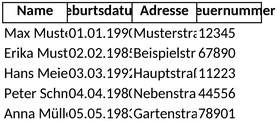 excel-vorlage-fuer-persoenliche-datenverwaltung
