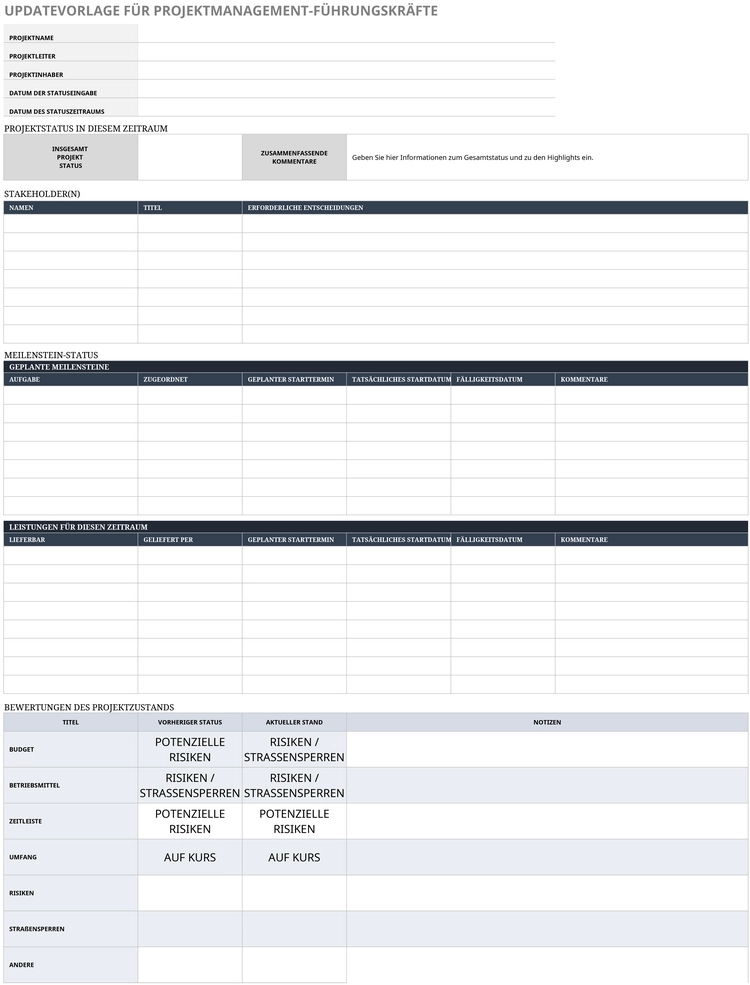 excel-vorlage-fuer-projektmanagement-und-statusupdates