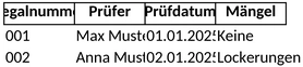 excel-vorlage-fuer-regalpruefung-qualitaetskontrolle